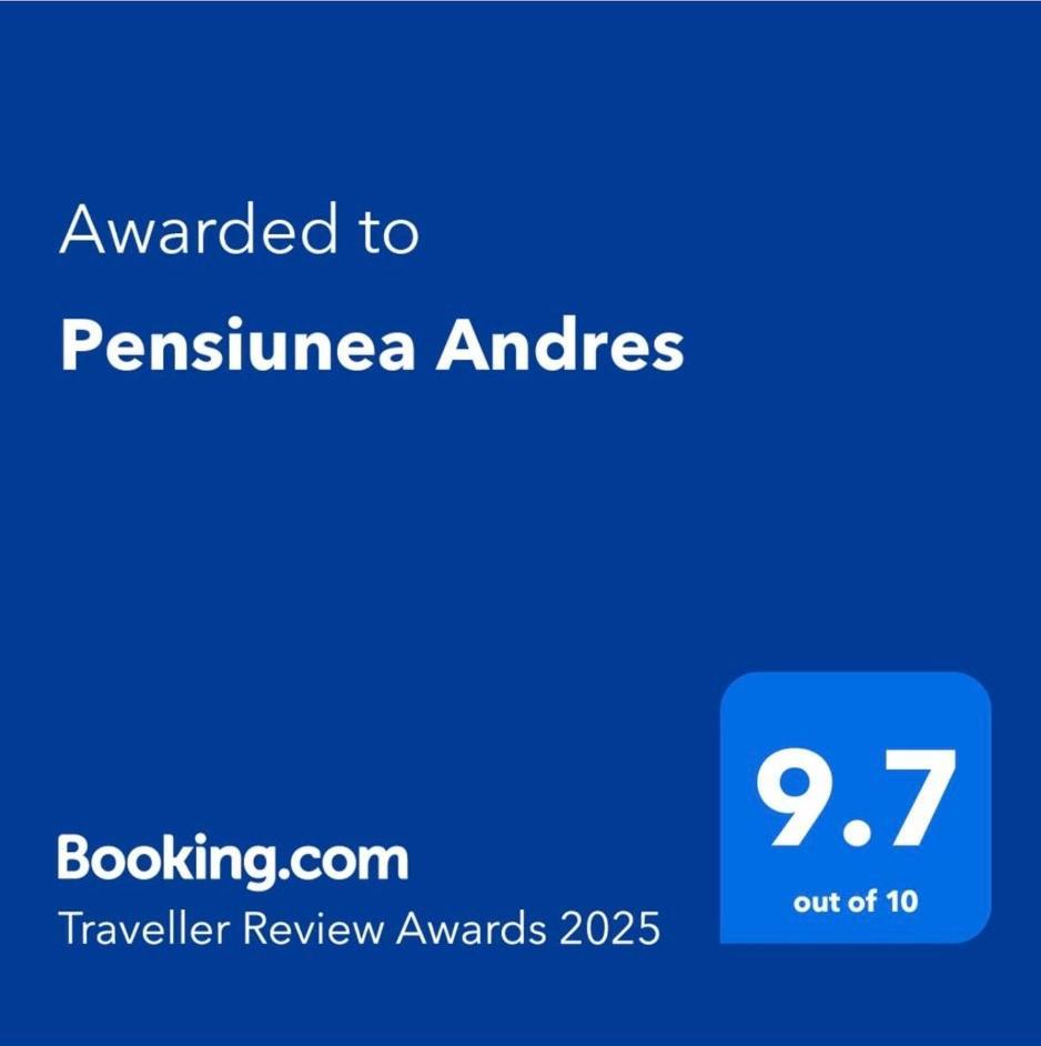 Pensiunea Andres Совата Екстериор снимка